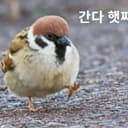 나도질러보까