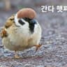 나도질러보까